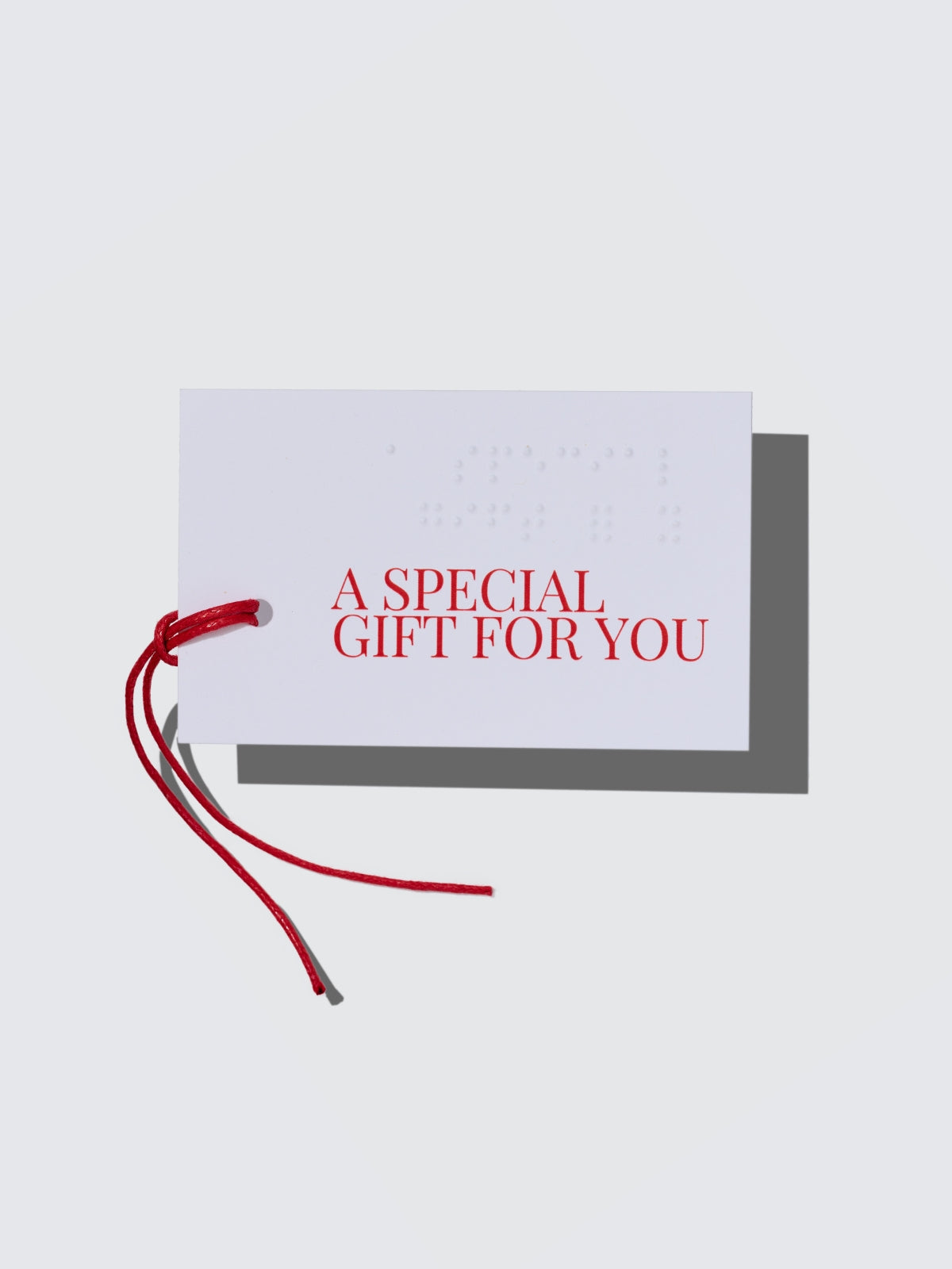 Two Blind Brothers -  Braille Gift Tag all