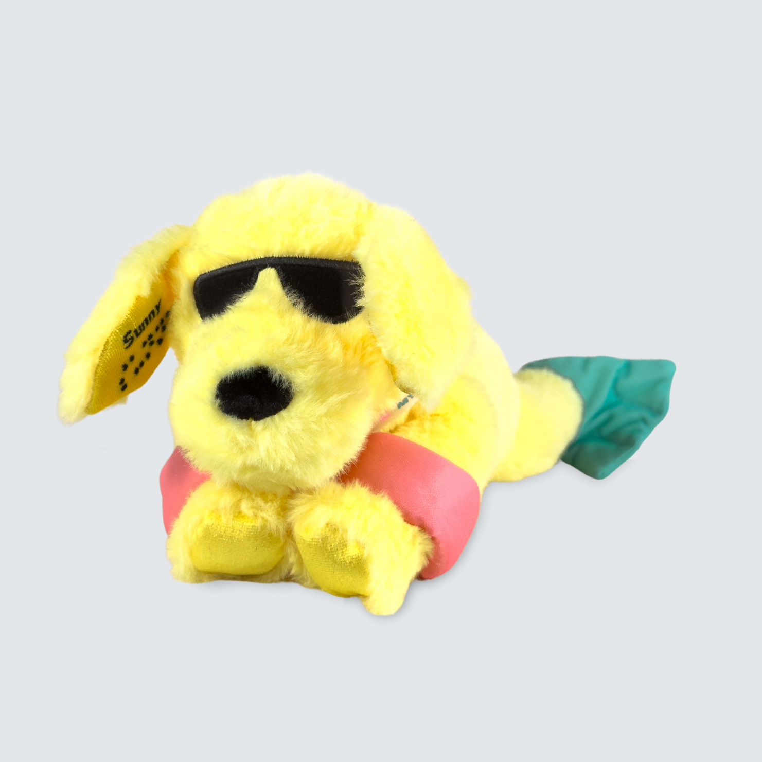 Two Blind Brothers - Guide Dog SUNNY SUNNY