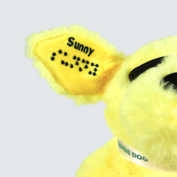 Two Blind Brothers - Guide Dog SUNNY Yellow-Labrador-hover