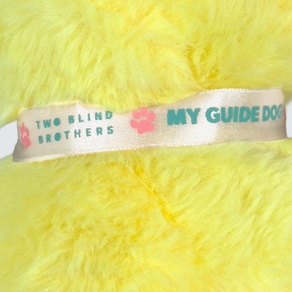 Two Blind Brothers - Guide Dog SUNNY Yellow-Labrador