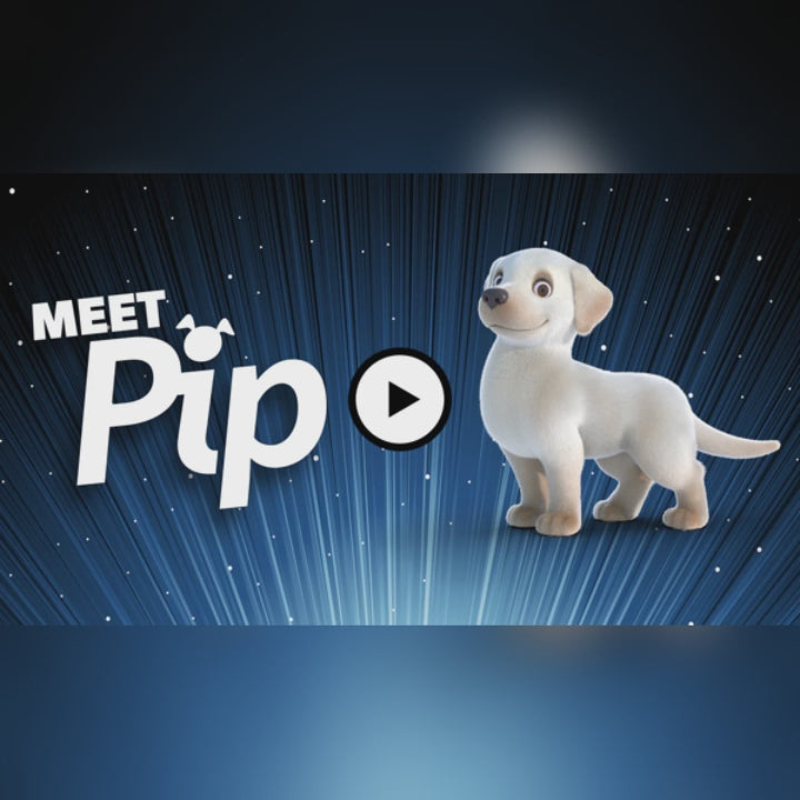 Two Blind Brothers - PIP AND FRIENDS PIP PIP