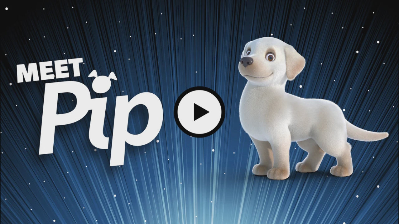 Two Blind Brothers - PIP AND FRIENDS PIP PIP